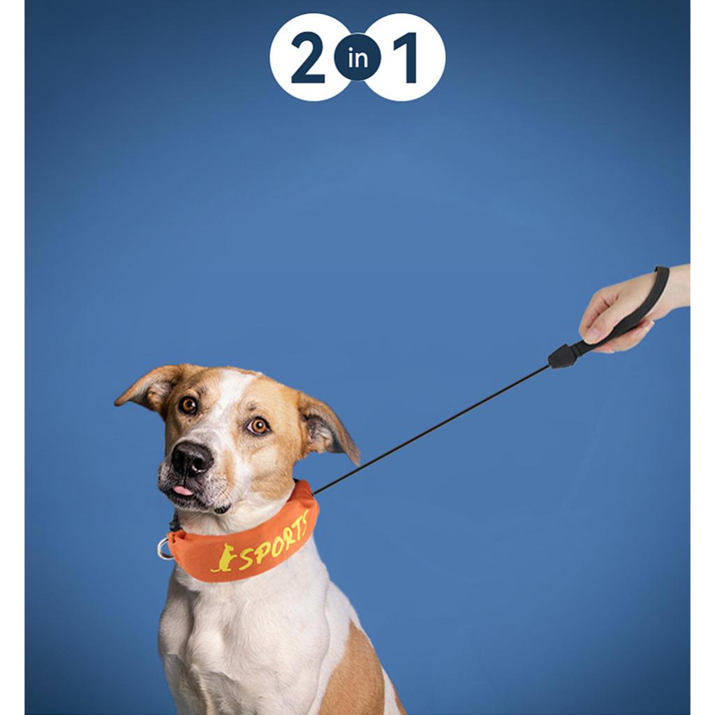 Pet Products Dog Automatic Retractable Leash 2 in 1 Retractable Dog Collar Leash