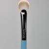 Easy Brush AA Shine Face 11