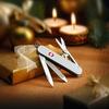 Victorinox Classic SD ALOX Swiss Army Knife Multifunctional Knife Outdoor Camping Scissors with Flathead Screwdriver Equipped with Nail File Swiss