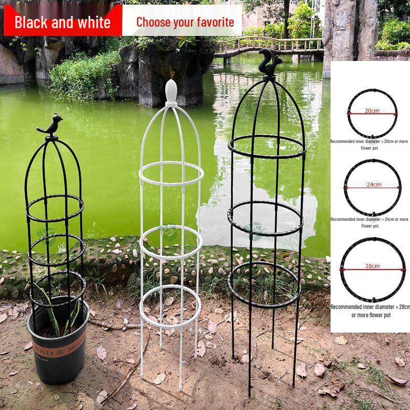 Clematis Rose Support Flower Stand with Climbing Frame for Indoor Plants