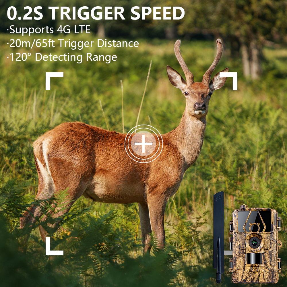 PR801LTE 4G Wildkamera 60MP 8K 0.2S Auslösezeit Jagdkamera mit IP66 Wasserdicht für Wildtierüberwachung