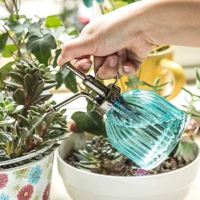 Retro Glass Plant Mister Spray Bottle with Plastic Top Pump Watering Glass Spray Bottle Plant Mister Watering Garden Tool