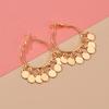 Classic Minimalist 2-Color Metal Pendant Earrings Punk Metal Women's Personalized Fashion Party Jewelry
