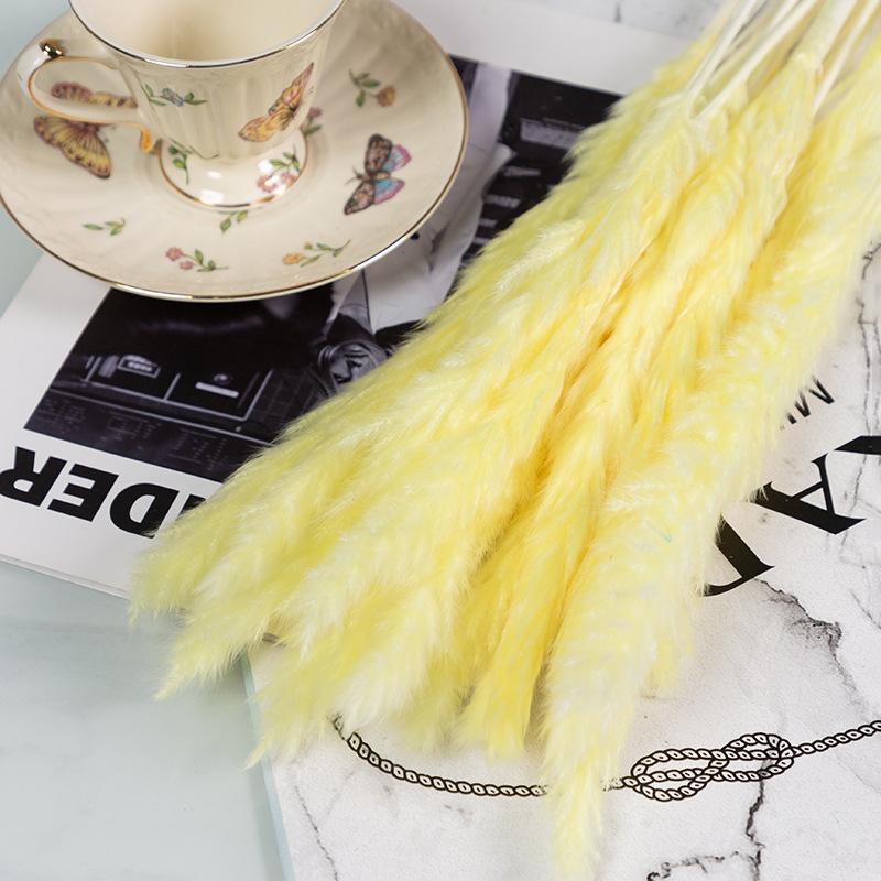 Small Reed Pampas Grass Dried Flower Special Offer Small Reed Dried Flower Bouquet Decoration Wedding Arrangement