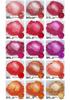120 Color Chameleon Pearlescent Mica Powder for Epoxy Resin, Paint, and Watercolor