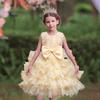 Children's Wedding Dress Big Children's Dress Girl's Flower Girl Rose Princess Dress in Stock