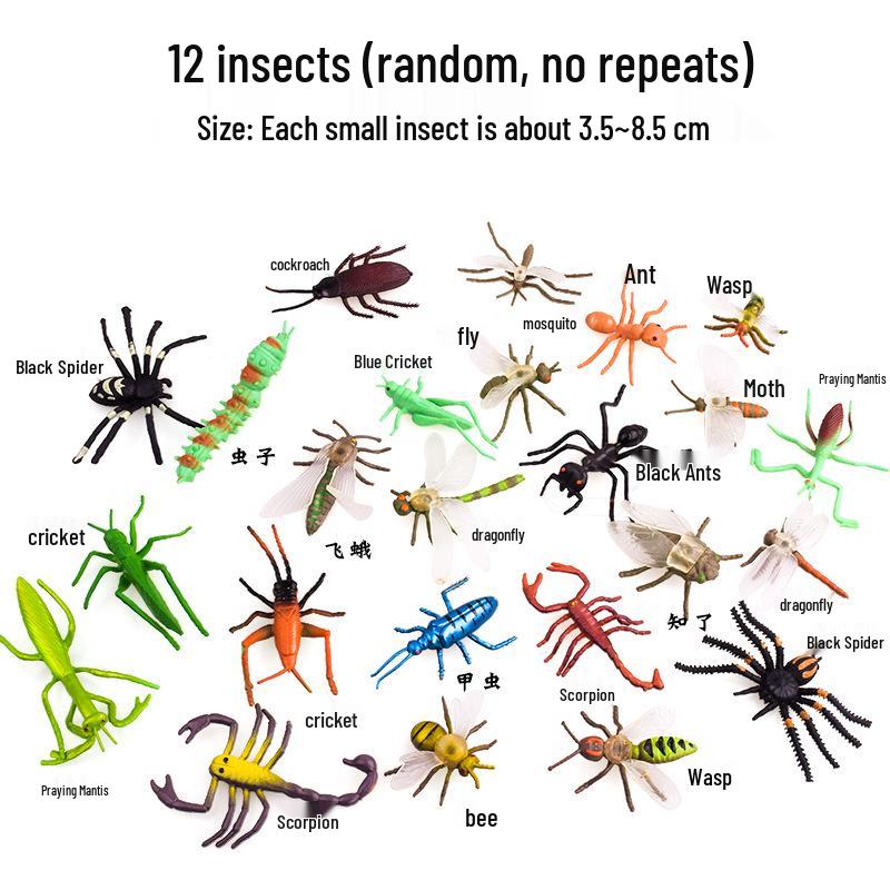 Cross-Border Marine & Insect Animal Models for Science Education