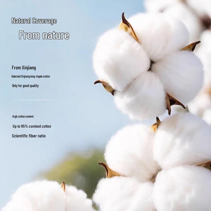 Langsha Men's Cotton Silk Antibacterial Boxer Briefs 4-Pack