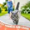 2 Pack Cat Harness and Leash Set, Escape Proof Adjustable Kitten Harness with Leash Collar Lightweight Soft and Comfortable for Small Medium Cats