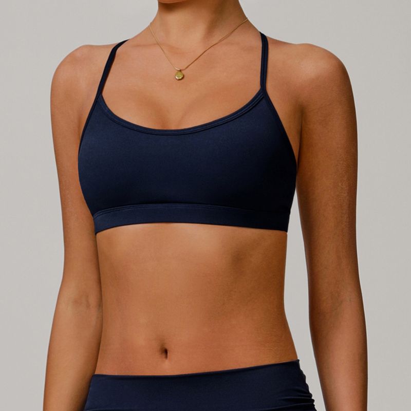 

Guangzhou Zechuang Clothing Co., Ltd. Sling Beautiful Back Fitness Yoga Wear Outwear Running Yoga Bra Nude Feel Badge Blue XL