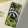 Raccoon For Samsung Galaxy M15 M35 M21 M16 M06 M33 M13 M53 M11 M31 M55 M14 M34 M54 M12 M32 M52 Case