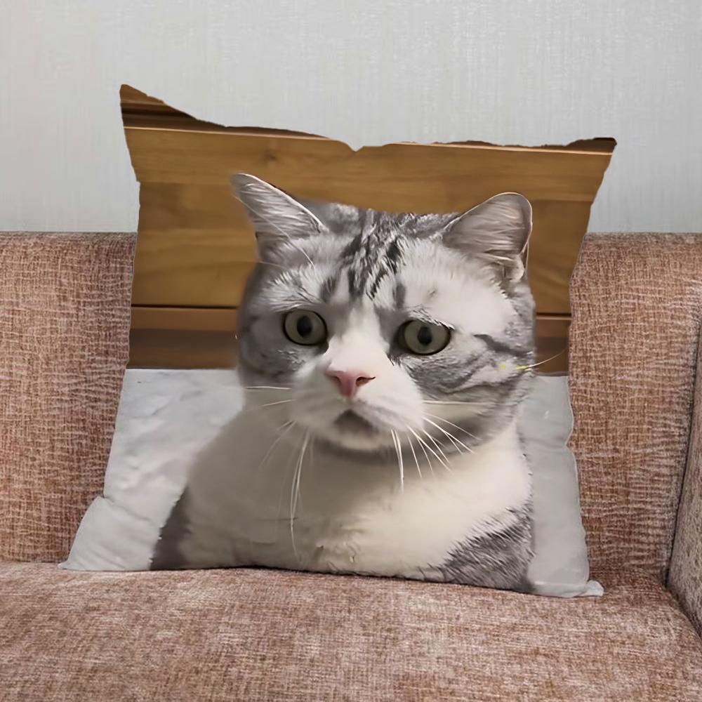 Pet Cat Funny memes Pillow Case For Home Bedroom Car Office Decoration Living Room Sofa Cushion Cover Suitable