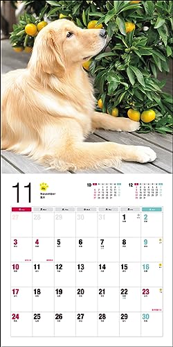2024 Calendar Golden Retriever (Seibundo Shinkosha Calendar)
