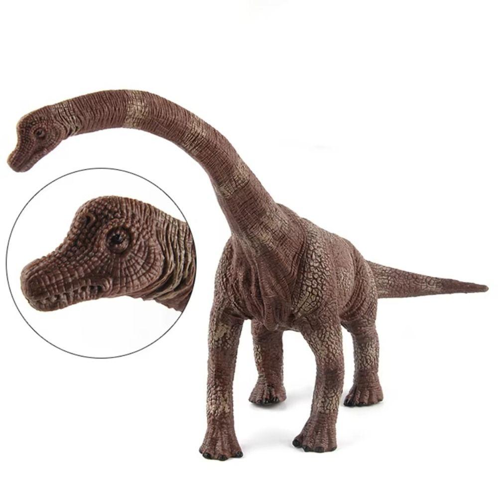 Apatosaurus Dinosaurier Actionfiguren Simulierte Jura-Dinosaurier Dinosaurier Modell Sammlung