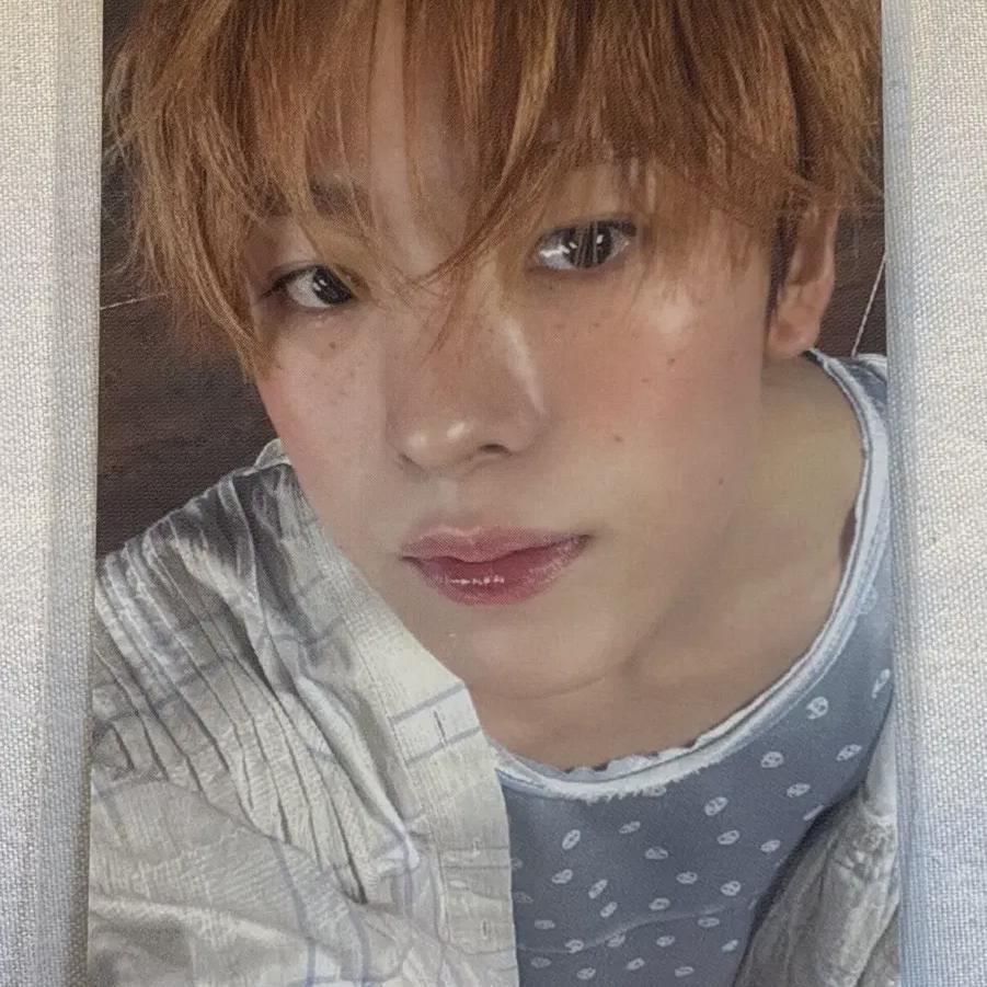 

Yuushi Songbird Photocard