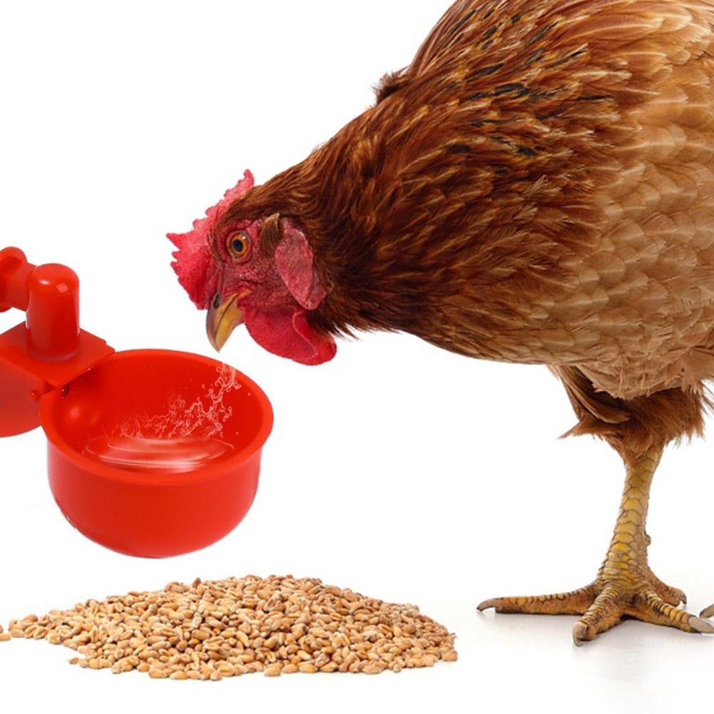 10 Bucăți Pahar Băut Pui Rață Adăpător Automat Hrănitor Pui Plastic Fermă Avicolă Pahar Băut Apă Instalare Ușoară