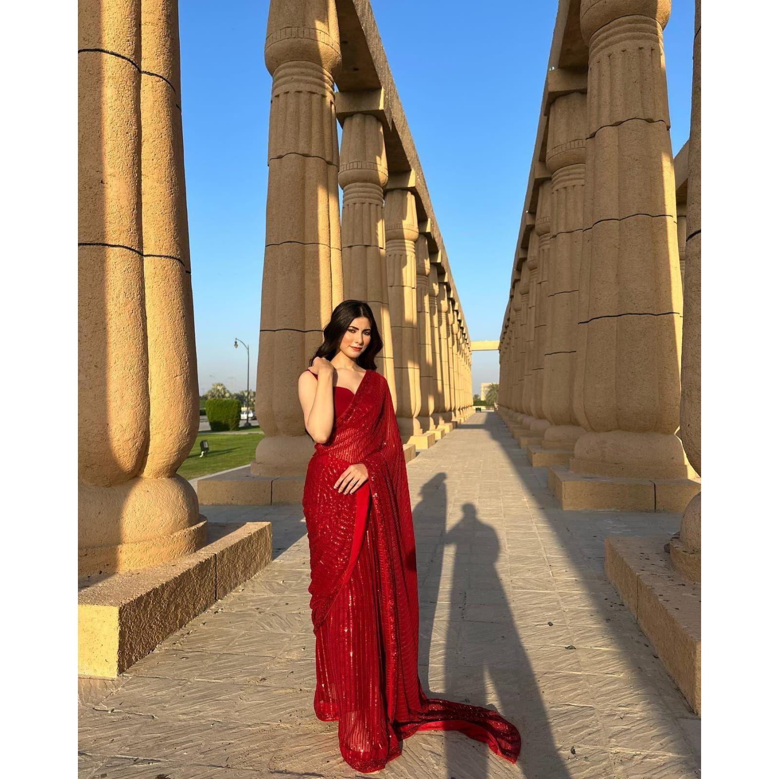 

Новое дизайнерское сари для вечеринок