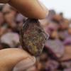 245.96 Ct Natural Wonder: Red Ruby Uncut Raw Rough Loose Gemstone CERTIFIED