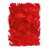 Jeu de scrapbooking - netuno - plumes décoratives - rouge - 10g - pour enfants