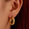 Classic Fashion Round Stainless Steel Twist Hoop Earrings For Women 4.5mm Thick Ear Buckle Gold Copper Color Earrings Zircon