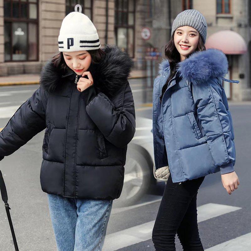 Buy Sweet Ladies Winter Hooded Jacket 