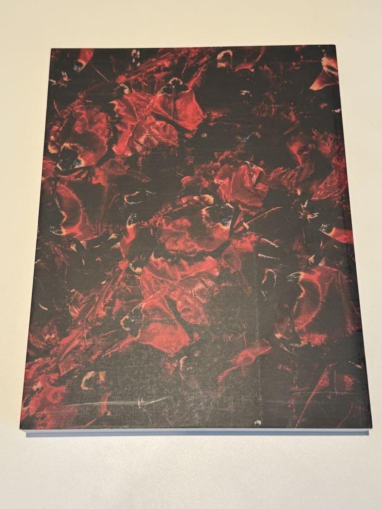 [USED] [Rare] Yukio Nakagawa Glass Calligraphy: The Shape of Life