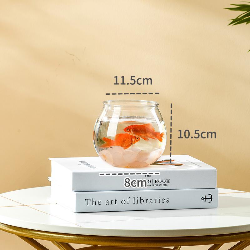 Transparent Mini Round Turtle and Goldfish Tank for Home or Office