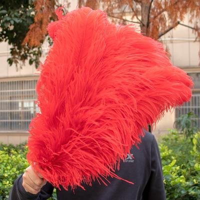 10 SZTUK Czerwone Pióra Struś Pęczek 15-60CM Naturalne Pióra Na Rękodzieło Wesele Impreza Dekoracje Środkowe Stołu Karnawał Plumas