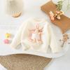 Baby Girls Sweater Set Fall Winter 2004, Pocket Rabbit Round Neck Pullover, Korean Cute Outfit
