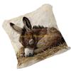 F26C Multifunctional Plush Cushion Cover Features Fun Donkey Pattern for Sofa Bed Decoration