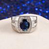 SACE GEMS Luxurious Copper Alloy Zircon Wedding Engagement Ring Men Jewelry Gift
