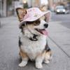Breathable Dog Sunscreen Hat with Ear Holes Pet Visor Hat Fashion Pet Bucket Hat  Hiking