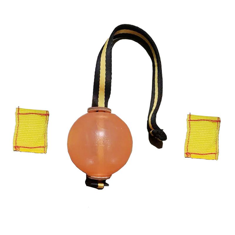 Palla Magnetica per Addestramento Cani, Palla Morbida Arancione/Blu con Corda