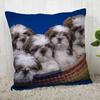 Housse de coussin personnalisée Shih Tzu, taie d'oreiller décorative moderne pour salon ,(2)