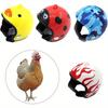 3pcs Chicken Helmet Plastic Bird Head Protective Hat Chicken Claw Helmets Fun Protective Hen Hat Small Pet Helmets, Small Pet