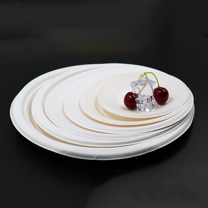 Churong Disposable 9-inch Round Plates, 100 Count