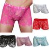 Men Hollow Lace Mesh See Through Underwear Panties