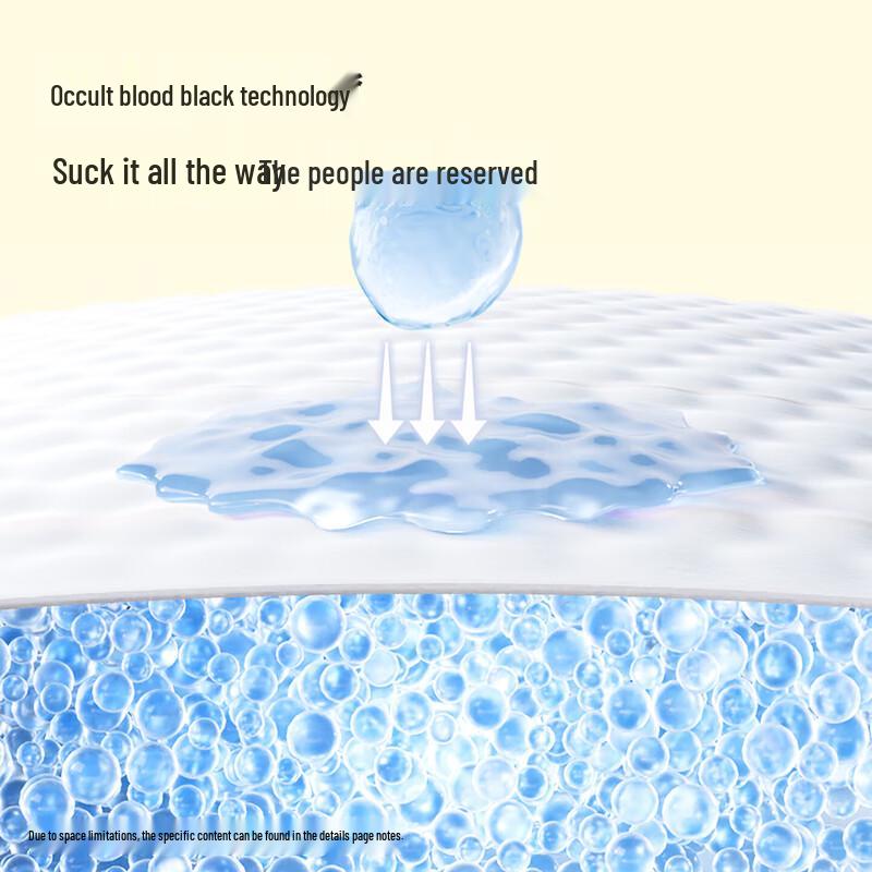 Dayo Disposable Period Panties