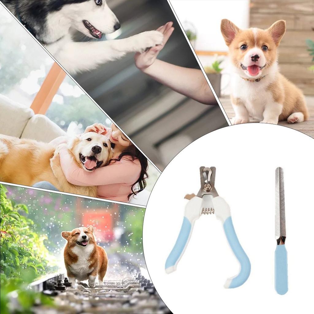 dog nail grinder with quick sensor