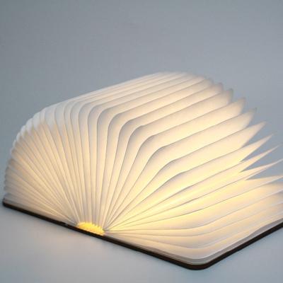 Fabrik Warmlicht LED Mini Buchlampe mit USB