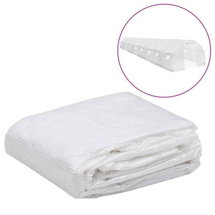 VidaXL Couverture de remplacement de serre (36 m²) 3x12x2m Transparent 316439