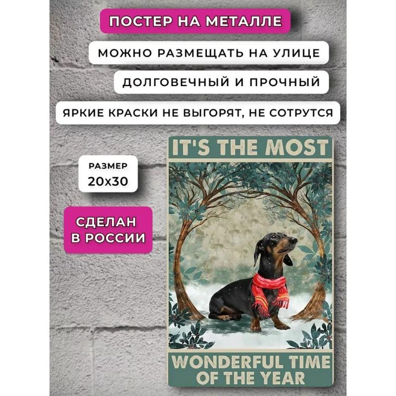 

Dachshund Metal Poster, Vintage Dog Wall Art Decor 30