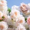 Uflower Artificial Flower Wall Roll-Up White Champagne Rose Hanging Fabric Floral Backdrop for Wedding Event Party Decorations