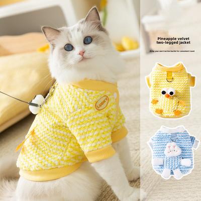 Autumn and Winter Cat Pineapple Fleece Pocket Bear Two-legged Fleece Jacket Thickened and Warm Winter Clothes Medium and Small Dog Pet Clothes
