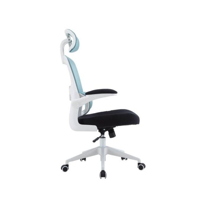 Chaise de Bureau - WOXTER - Ergo - Ergonomique - Bleu - Contemporain