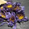 Egyptian Blue Water Lily Bluelotus Flower Blue Lotus Dried Flower 30g Sleep Aid Health Flavor Tea
