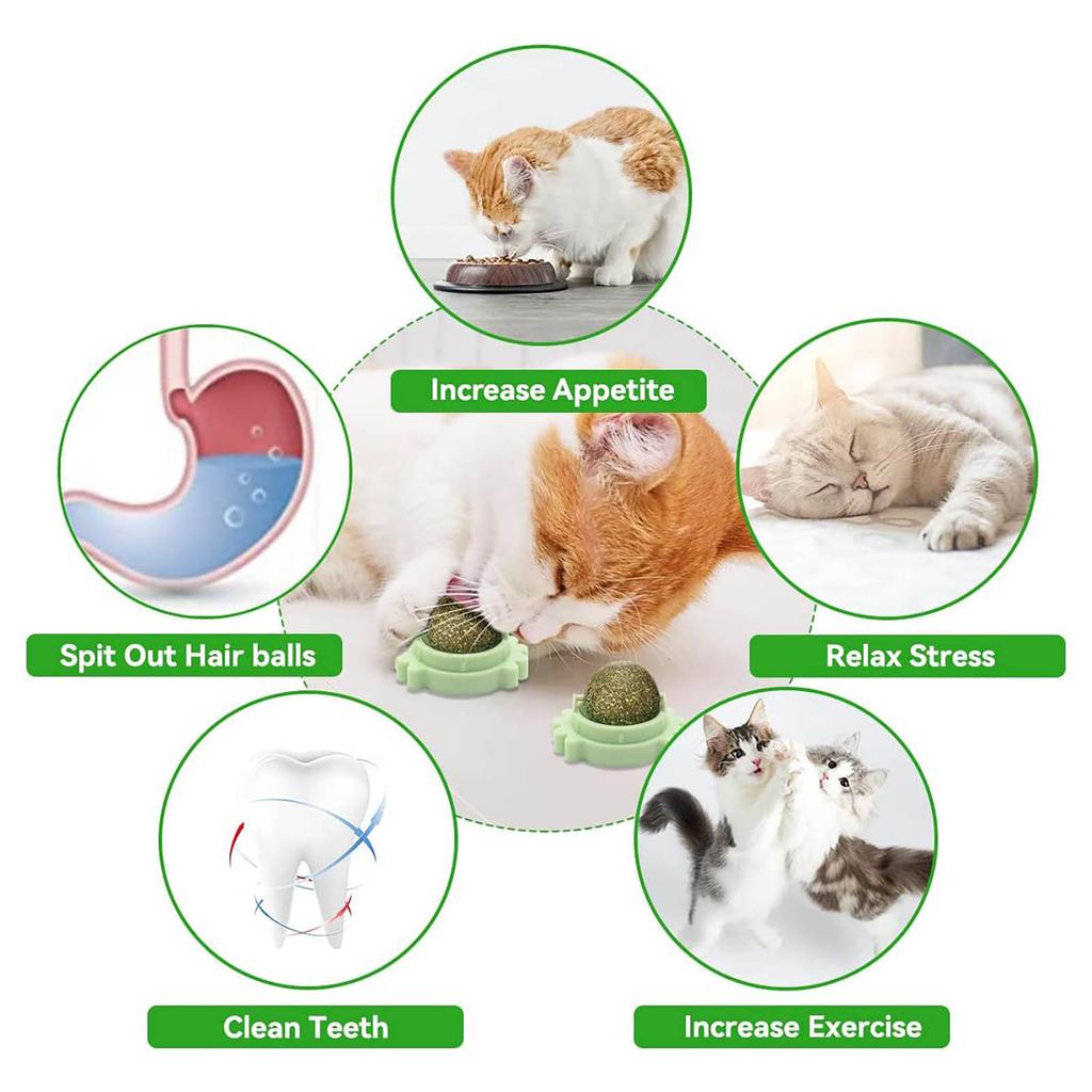 Catnip Wall Balls, Toys For Cats, Catnip, Wall Roller For Cats, Teeth Cleaning, Naturally Rotating For Indoor Use