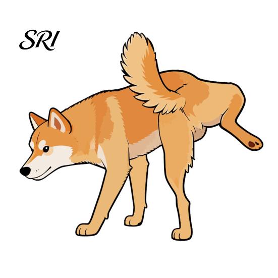Wear-resistant Car Decal Dog Peeing Stickers Cute Animal Sticker Waterproof PVC Shape for Cars Trucks Windows Walls Laptops Funny