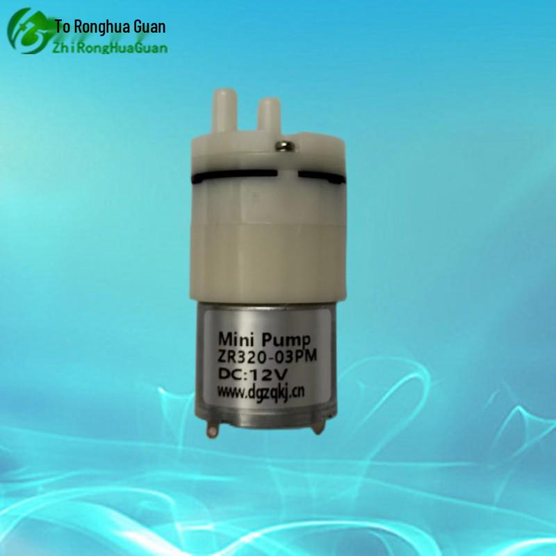 Ronghua Guan Pompka próżniowo-tłocząca i do pompowania: 320, 4,5V, 3,7V, 12V, 6V Pompa podnosząca ciśnienie