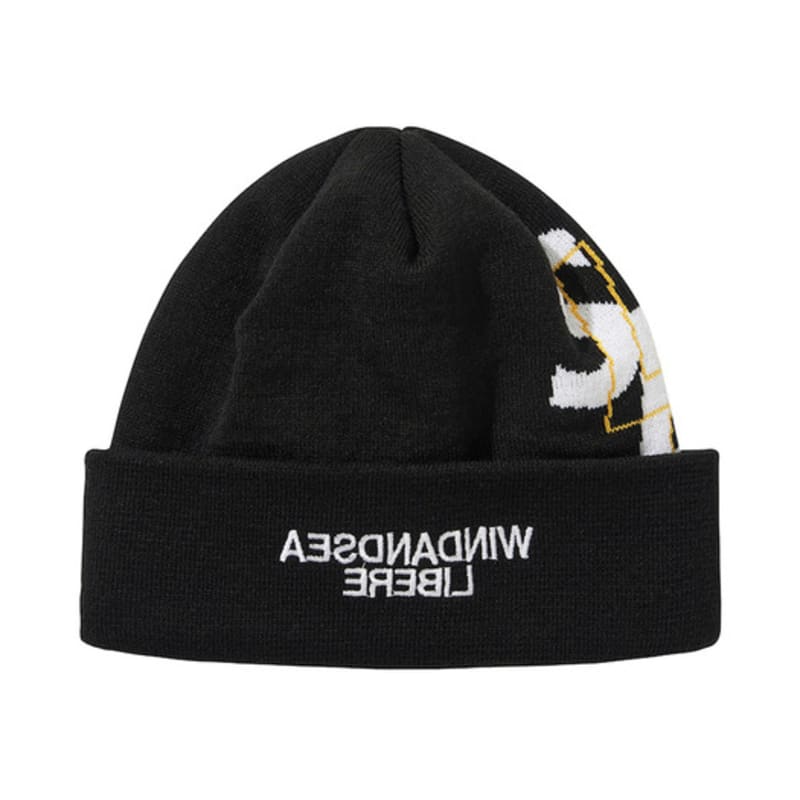 

LIBERE KOREA WDS X LIBERE ШАПКА / ЧЕРНЫЙ FREE